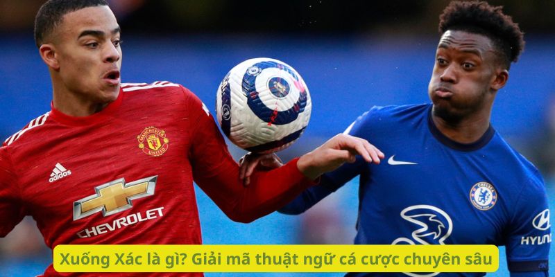 Xuống Xác là gì? Giải mã thuật ngữ cá cược chuyên sâu