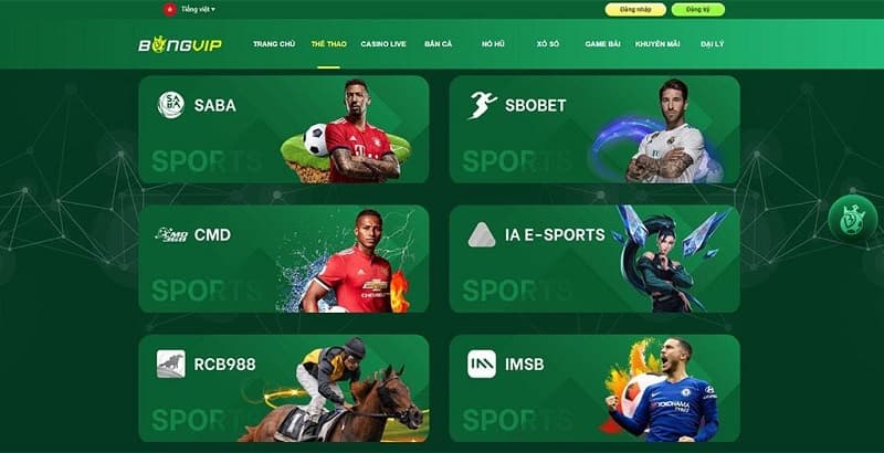 Thể Thao Bongvip – Nhấp Tay Đặt Kèo Cược Nhận Ngay Tiền Thưởng