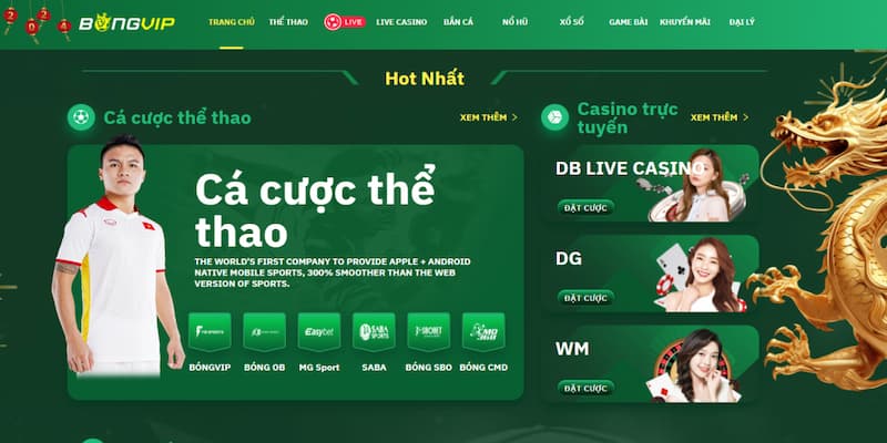Bongvip - Cách Đọc Kèo Từ Các Chi Tiết Nhỏ Trước Khi Ra Sân