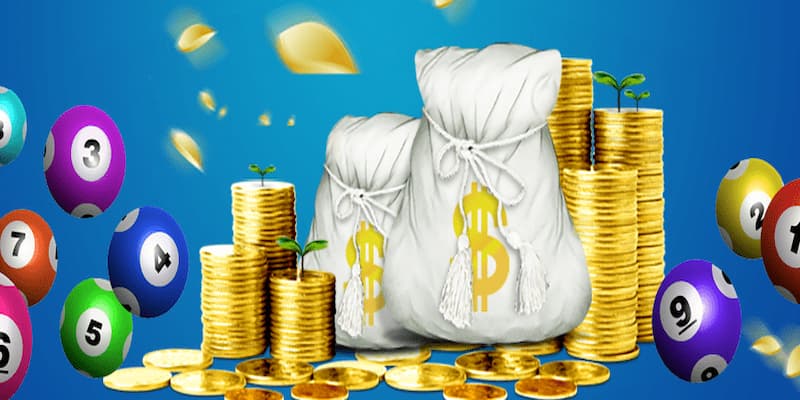 Bongvip Bật Mí Cách Soi Bạch Thủ Lô